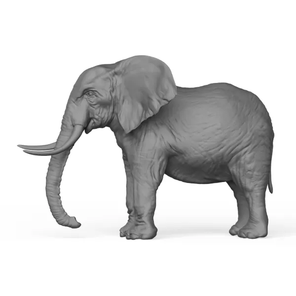 Elephant - Model preview 3