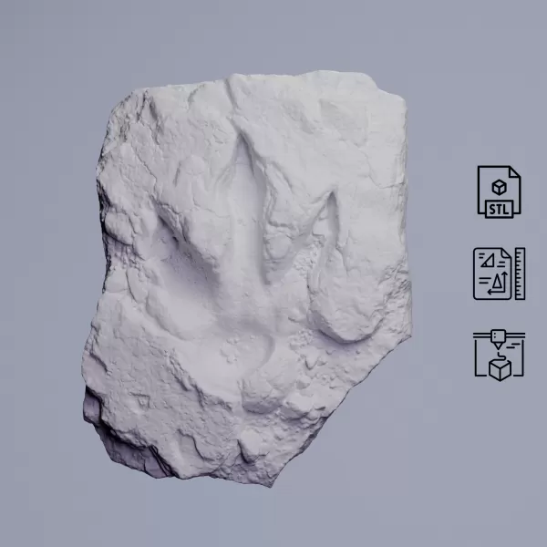 Dinosaur Track Fossil Rock #RoZ - Model preview 1