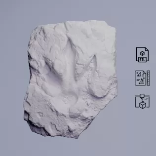 Dinosaur Track Fossil Rock #RoZ - Model thumbnail 1