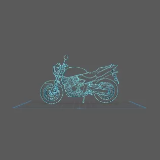 Honda - CBF 600 Hornet 2004 Wall Art