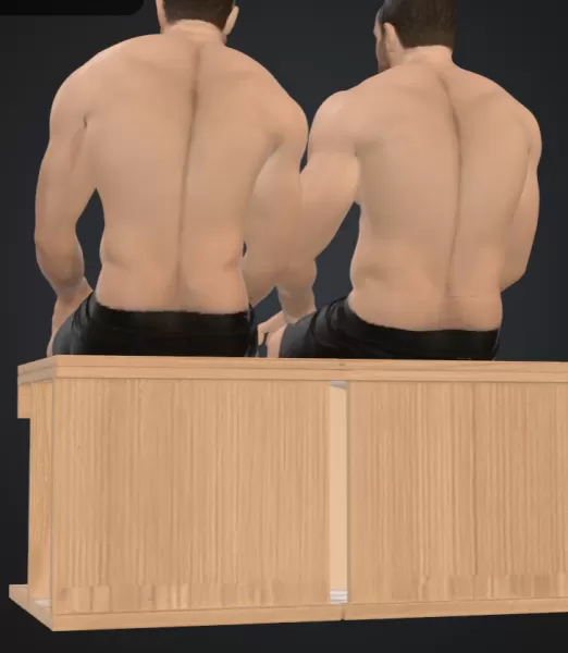 Zwei Männer in der sauna - Model preview 3