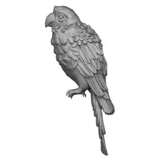 Parrot Bird - Model thumbnail 3