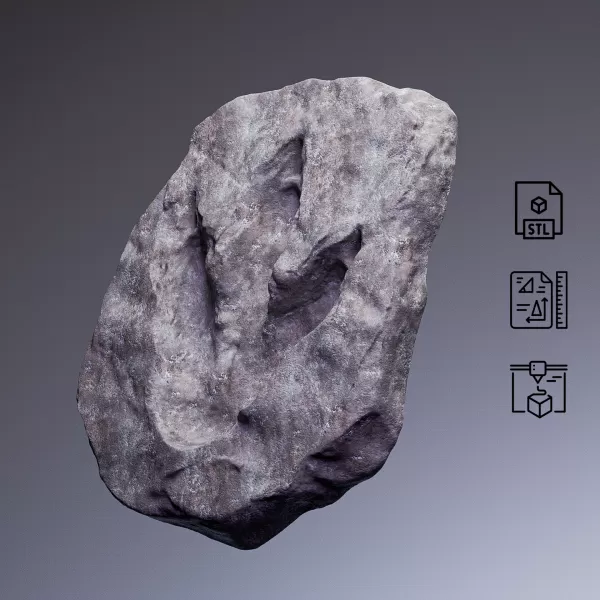 Dinosaur Footprint Fossil #RoZ - Model preview 8