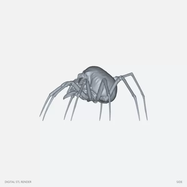 Skull Spider Creature - 100 mm STL - Model preview 3