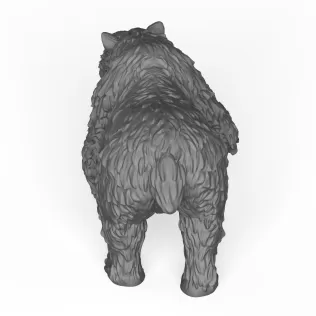 Polar Bear - Model thumbnail 4