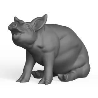 Pig