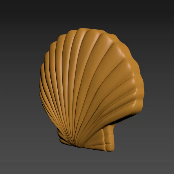 Seashell Shell Pearlshell - Model preview 2