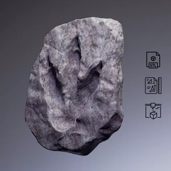 Dinosaur Footprint Fossil #RoZ - Model preview 6