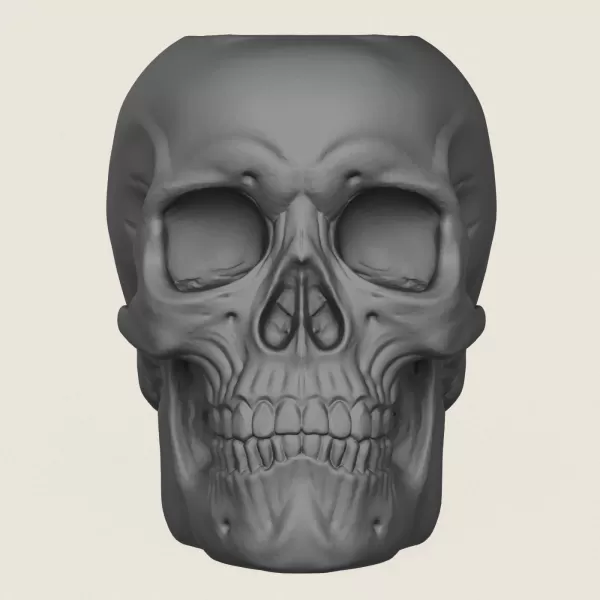 Skull Plant Pot - Model preview 3