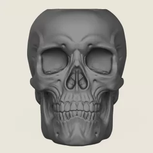Skull Plant Pot - Model thumbnail 3