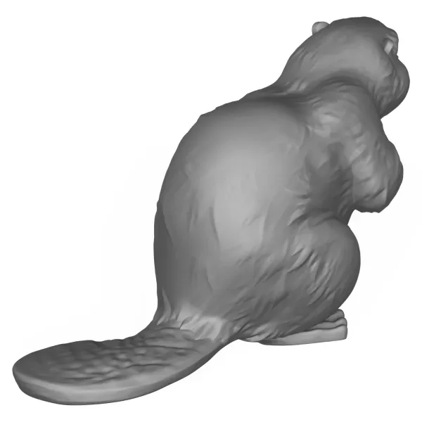 3D Printable Beaver Animal - Model preview 6