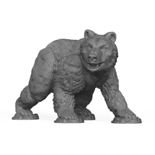 Wild Bear