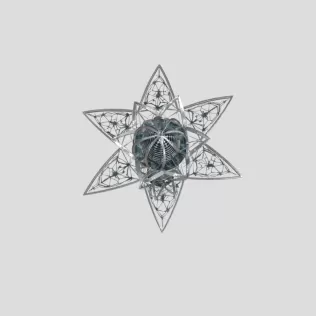 Starflower Spire