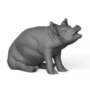 Pig