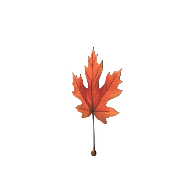 Canada Maple Leaf 3D Model - Model preview 5