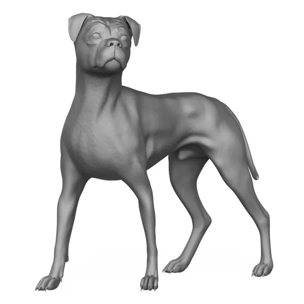 Boxer Dog Alert Pose 3D Print Model - Model preview 1