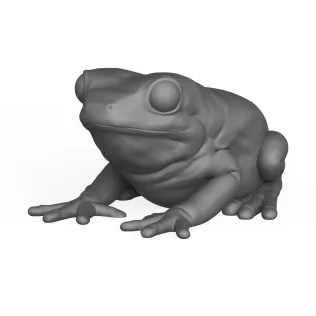 Frog