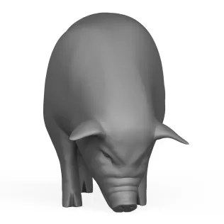 3D Printable Pig Eating Pose - Model thumbnail 2