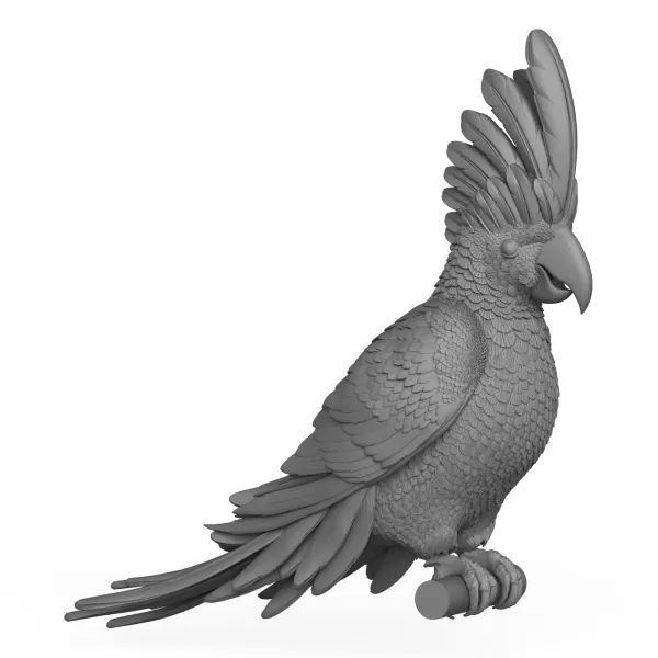 Cacadu Parrot Bird - Model preview 5