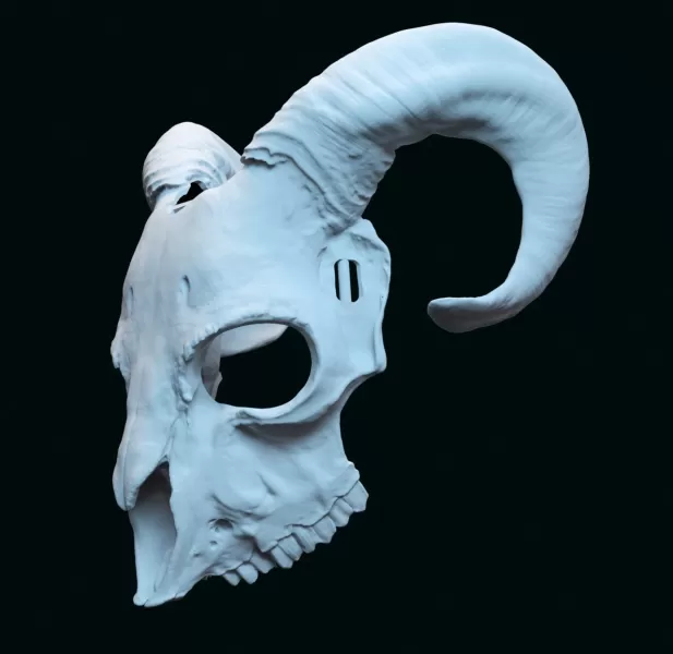goat skull mask adapted to fit a human face - Model preview 3