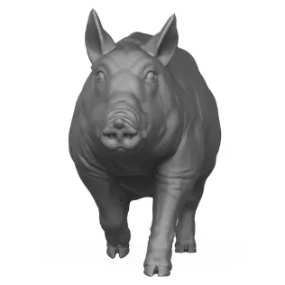 3D Printable Pig Walking Pose - Model thumbnail 2