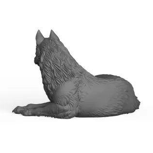 Wild Wolf - Model thumbnail 3