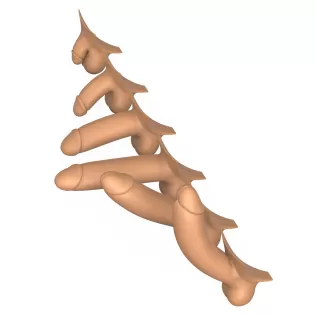 3D Print Ready Penis Erection Stages - Model thumbnail 10