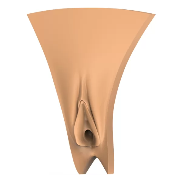 3D Print Ready Vagina Stage Collection - Model preview 5