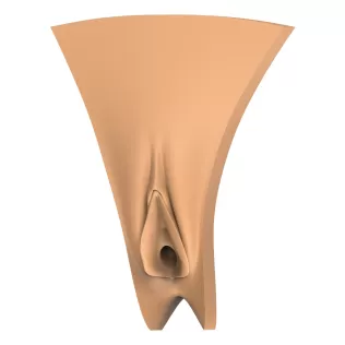 3D Print Ready Vagina Stage Collection - Model thumbnail 5