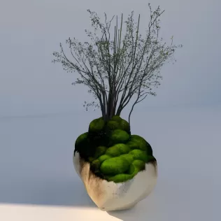 Mossy_Rock_Garden - Model thumbnail 2