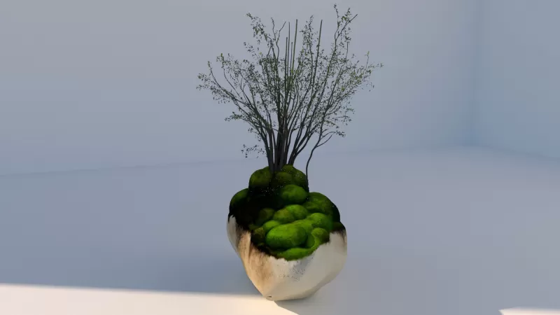 Mossy_Rock_Garden - Model preview 2
