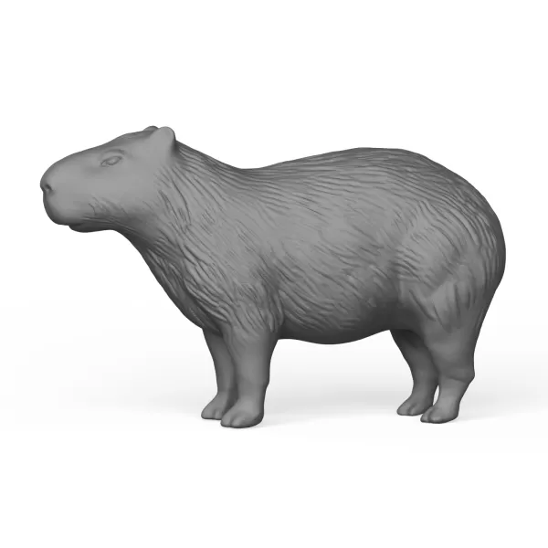 Capybara - Model preview 3
