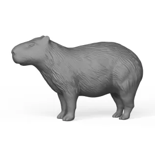 Capybara - Model thumbnail 3
