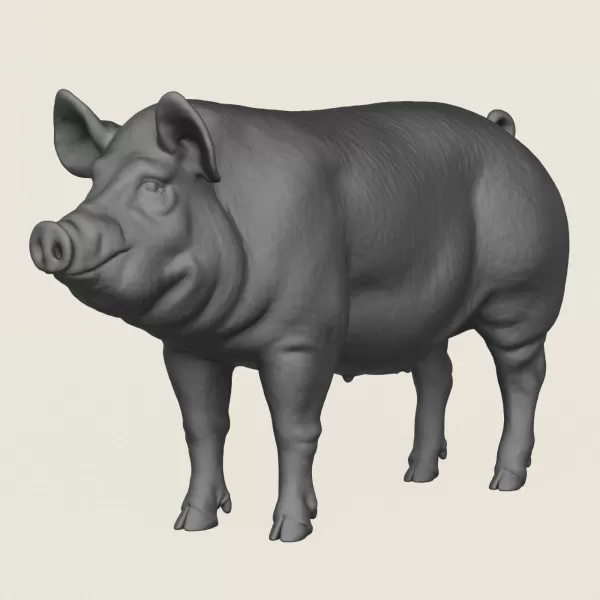 Pig Print Ready 3D Model - Model preview 1