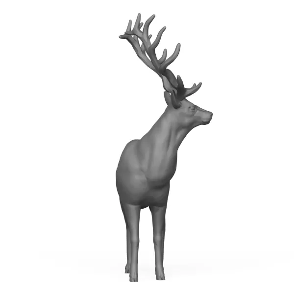 Stag Deer Animal - Model preview 2