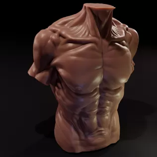 Male Torso Candle - Model thumbnail 1