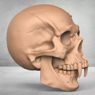 Monster Man Skull - Model thumbnail 3