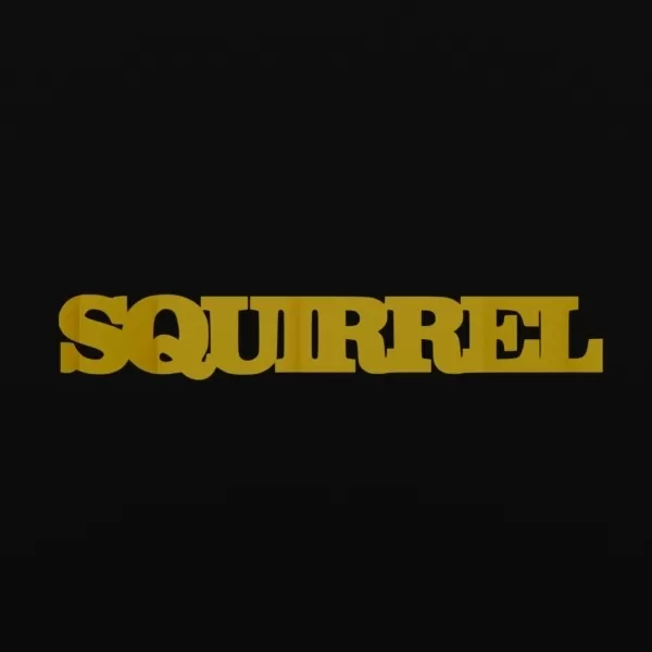 Squirrel - Text Flip - Model preview 2