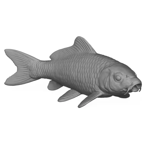 3D Printable Fish - Model preview 1