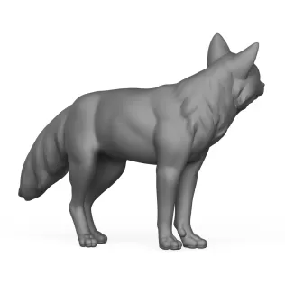 Fox