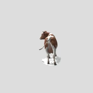 Cow