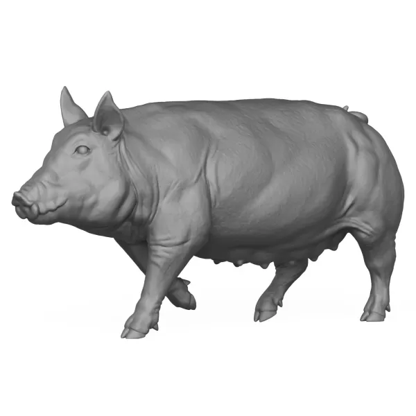 3D Printable Pig Walking Pose - Model preview 1