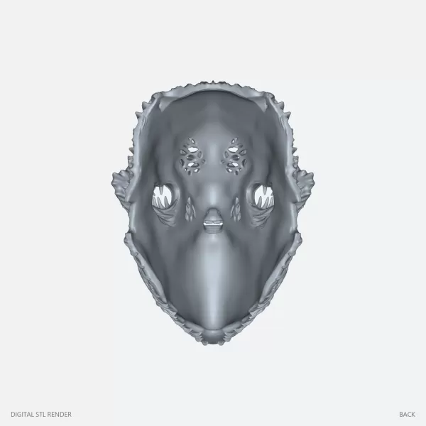 Biomorphic Fanged Helmet Display - STL - Model preview 4