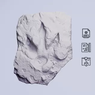 Dinosaur Track Fossil Rock #RoZ - Model thumbnail 3