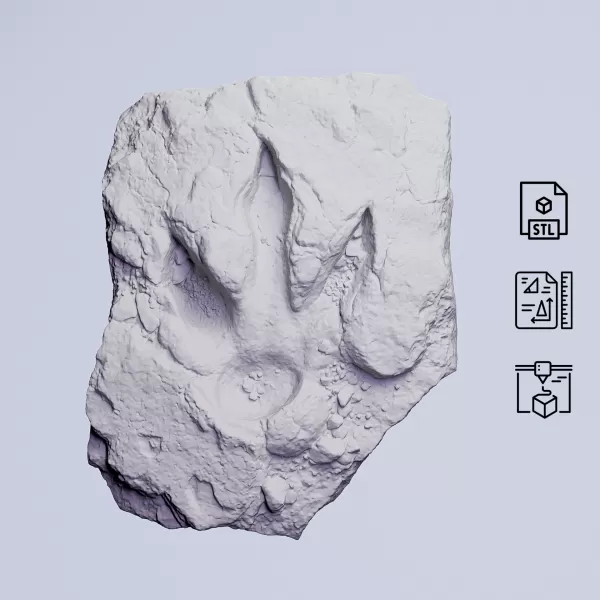 Dinosaur Track Fossil Rock #RoZ - Model preview 3