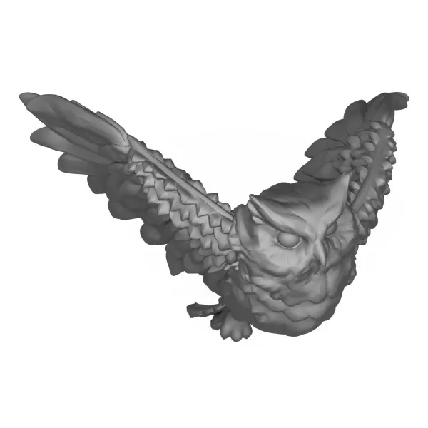 Owl Bird - Model preview 5