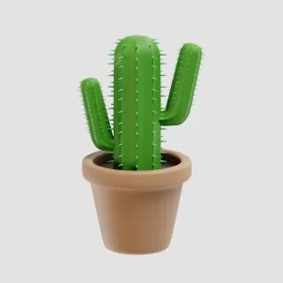 Cactus Plant - Model thumbnail 5