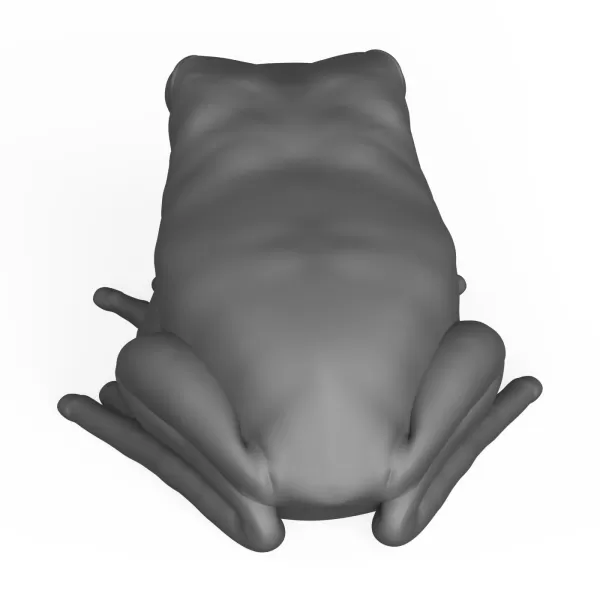Frog - Model preview 4