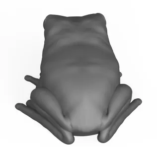 Frog - Model thumbnail 4