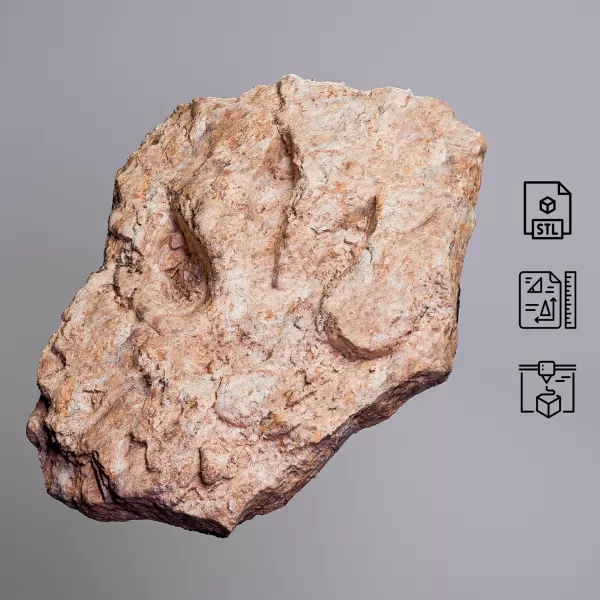 Dinosaur Track Fossil Rock #RoZ - Model preview 8